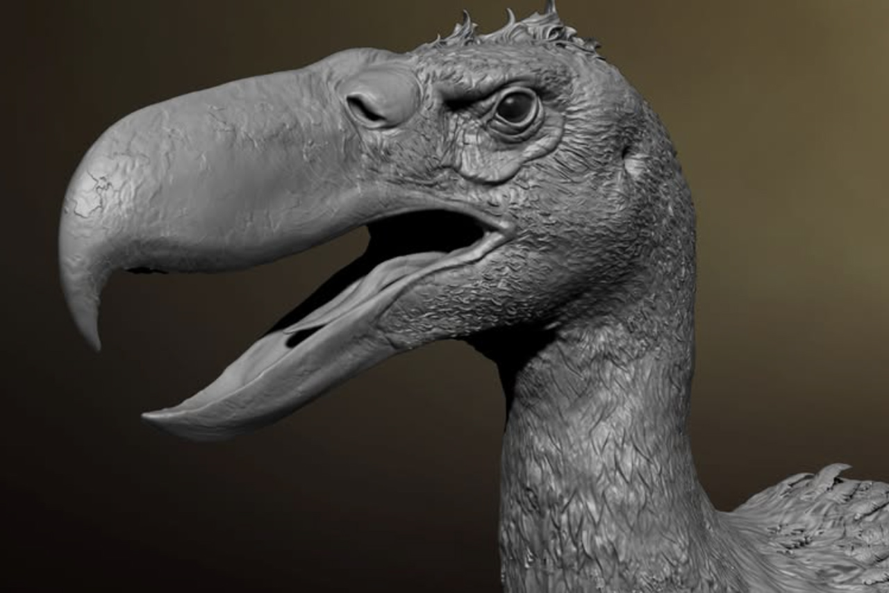 Creative Beast Studios Refines Kelenken 1/12th Scale Sculpt: Pre-Orders Set for February